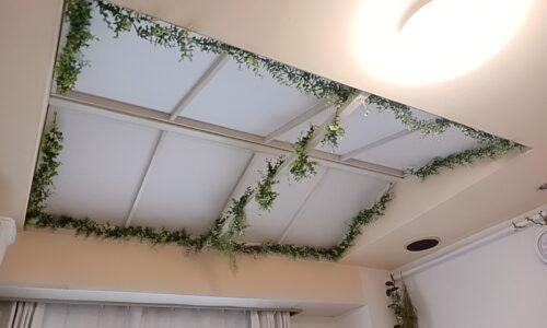 白い天井に沿ってグリーンのフェイク植物が装飾され、開放感のある室内の天井部分
