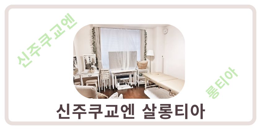신주쿠교엔에 위치한 살롱티아 렌탈 살롱의 밝고 아늑한 실내 공간 모습